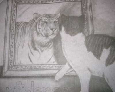 7015 Confidence of cats