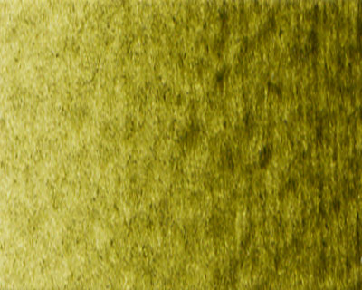 50447 Olive Green 60ml